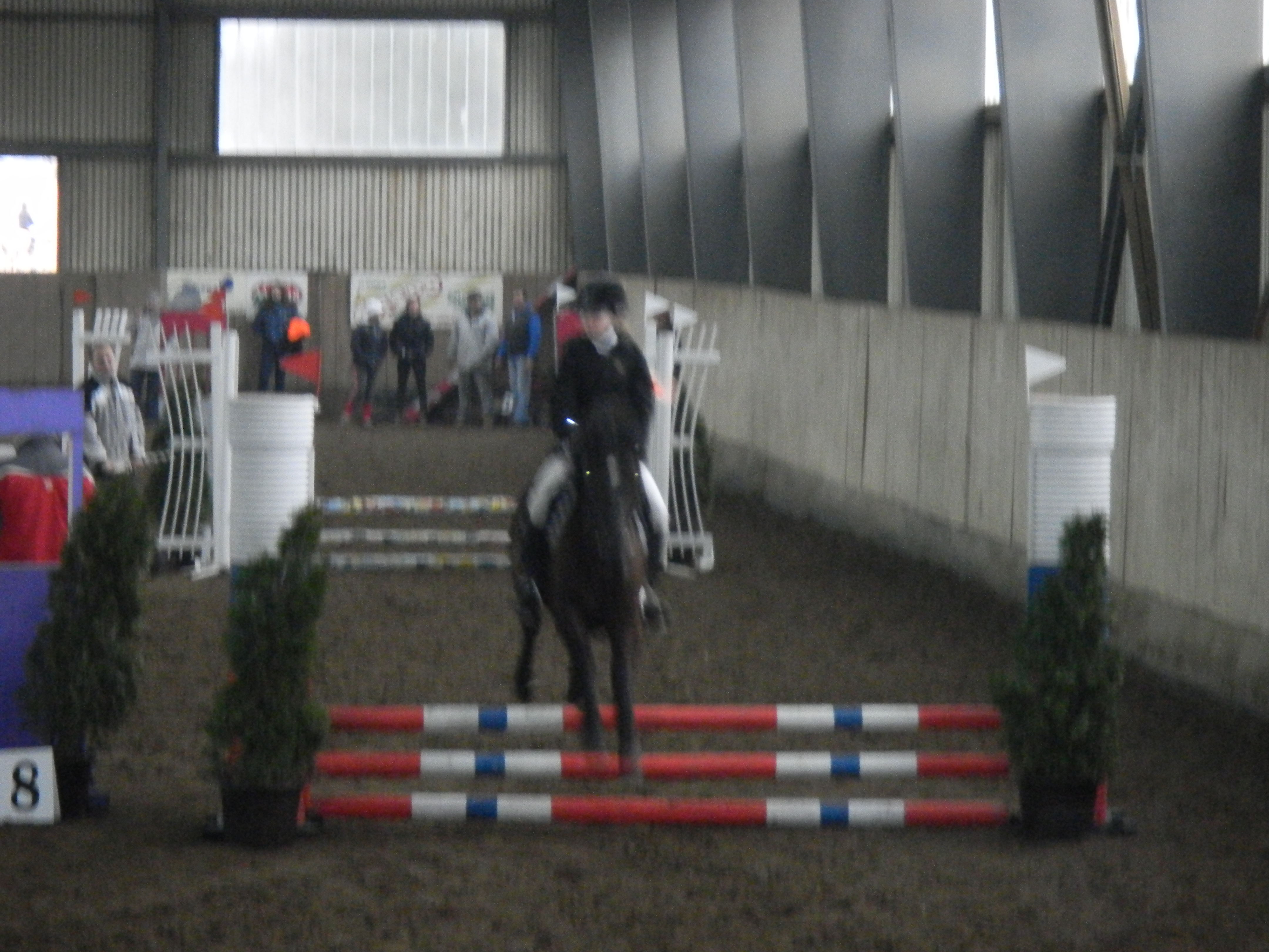 TJ Slovan Frenštát (Trojanovice pony) plus Luisianka 012