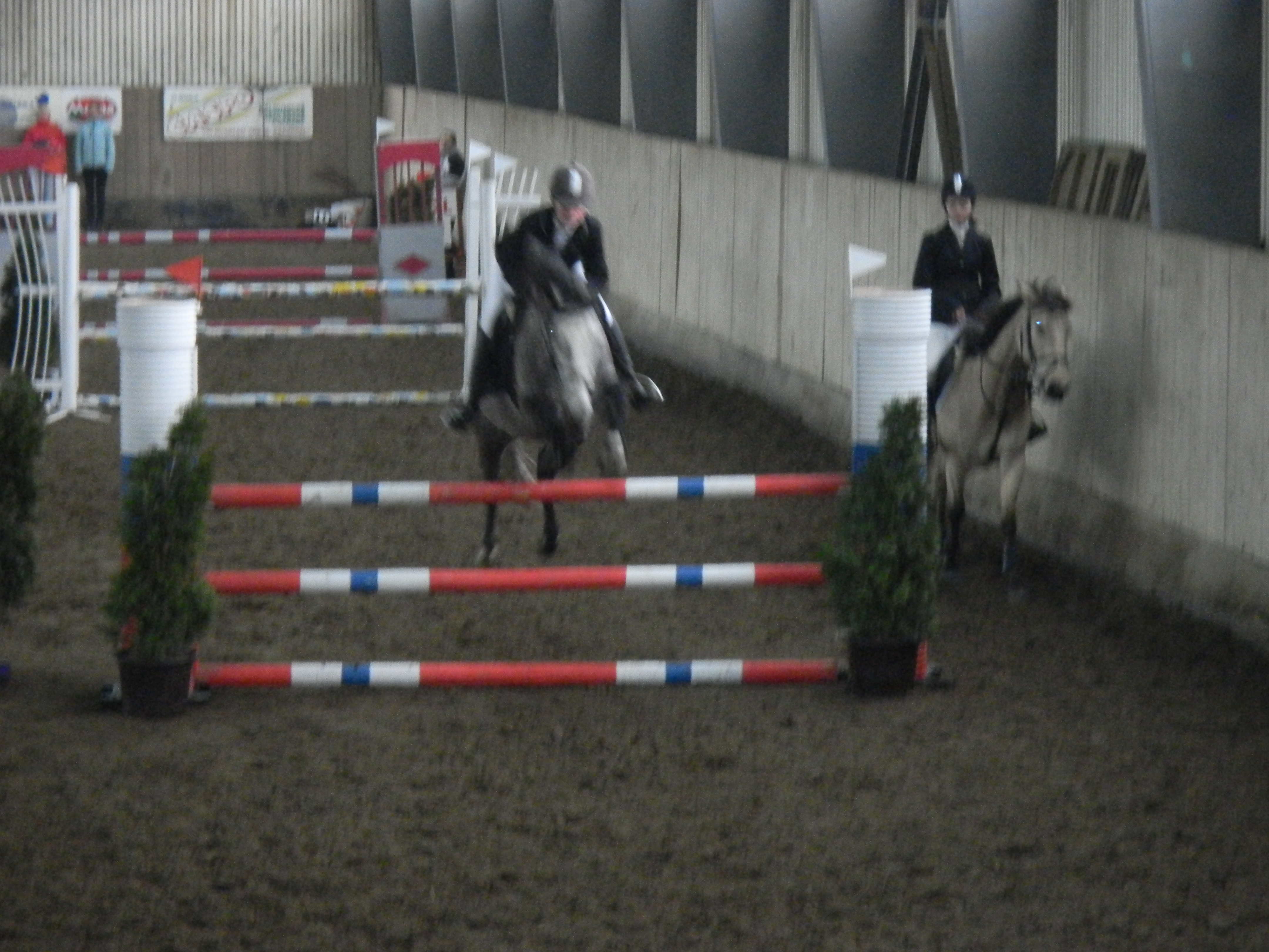 TJ Slovan Frenštát (Trojanovice pony) plus Luisianka 022