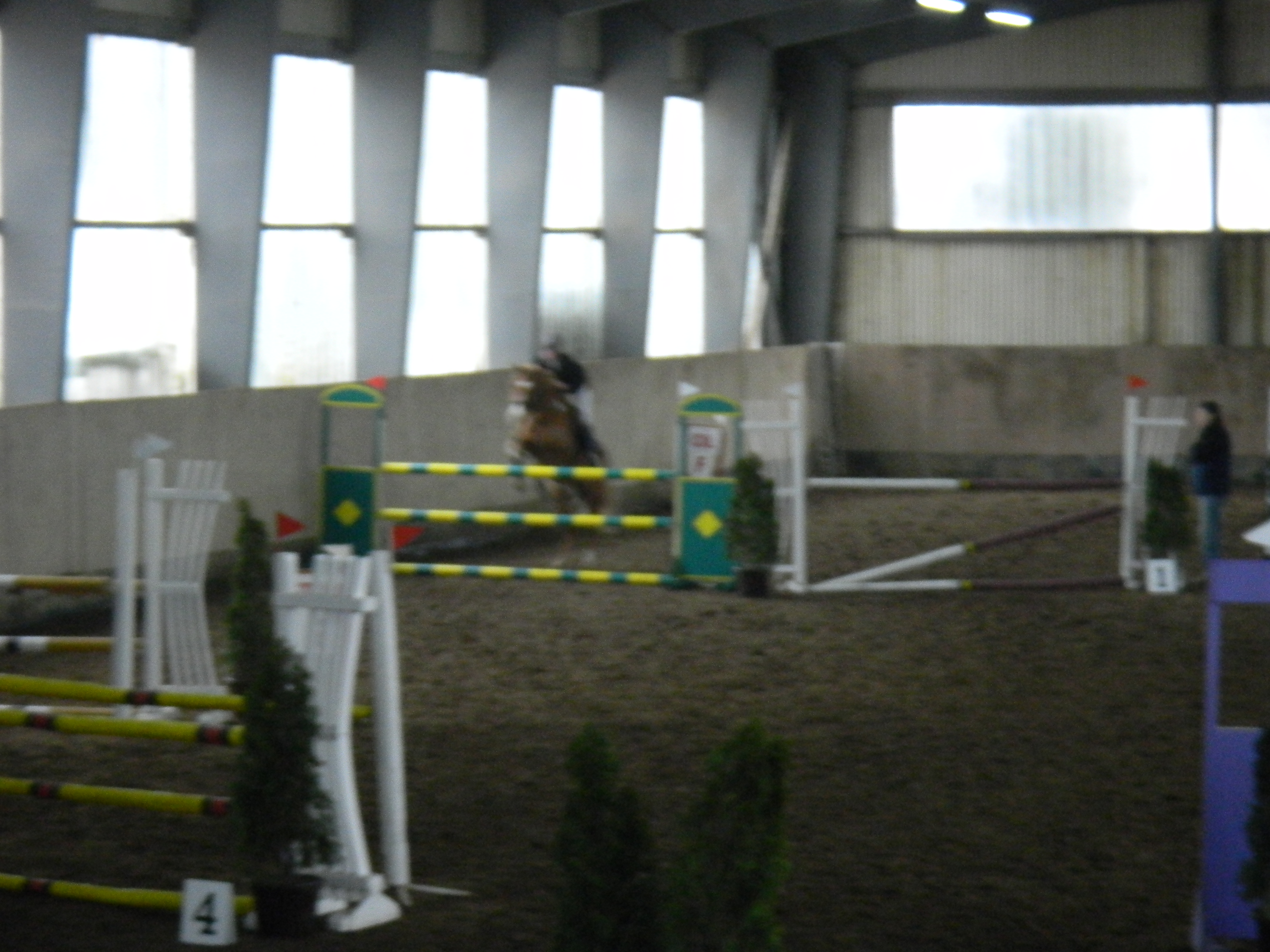 TJ Slovan Frenštát (Trojanovice pony) plus Luisianka 025