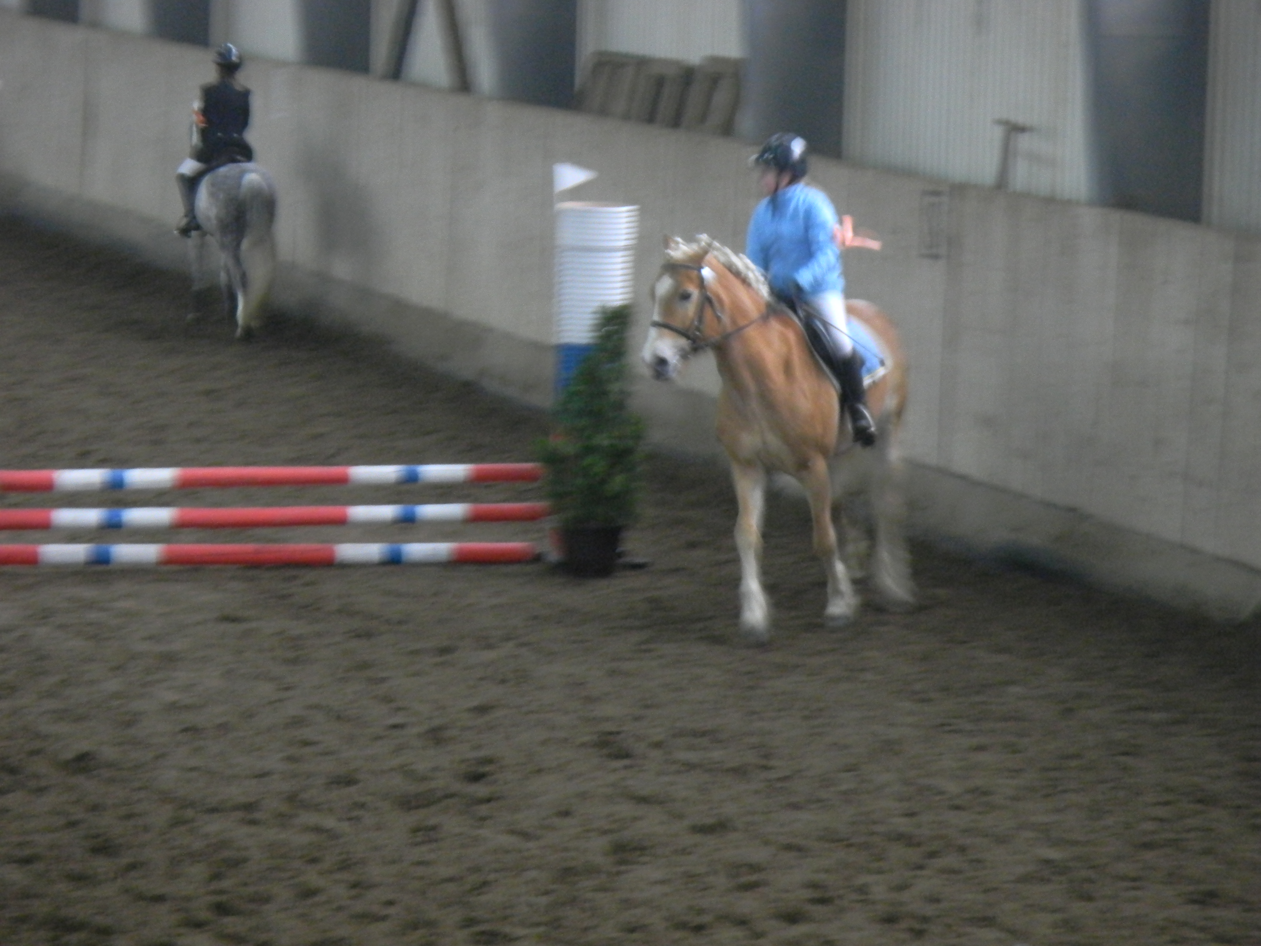 TJ Slovan Frenštát (Trojanovice pony) plus Luisianka 005