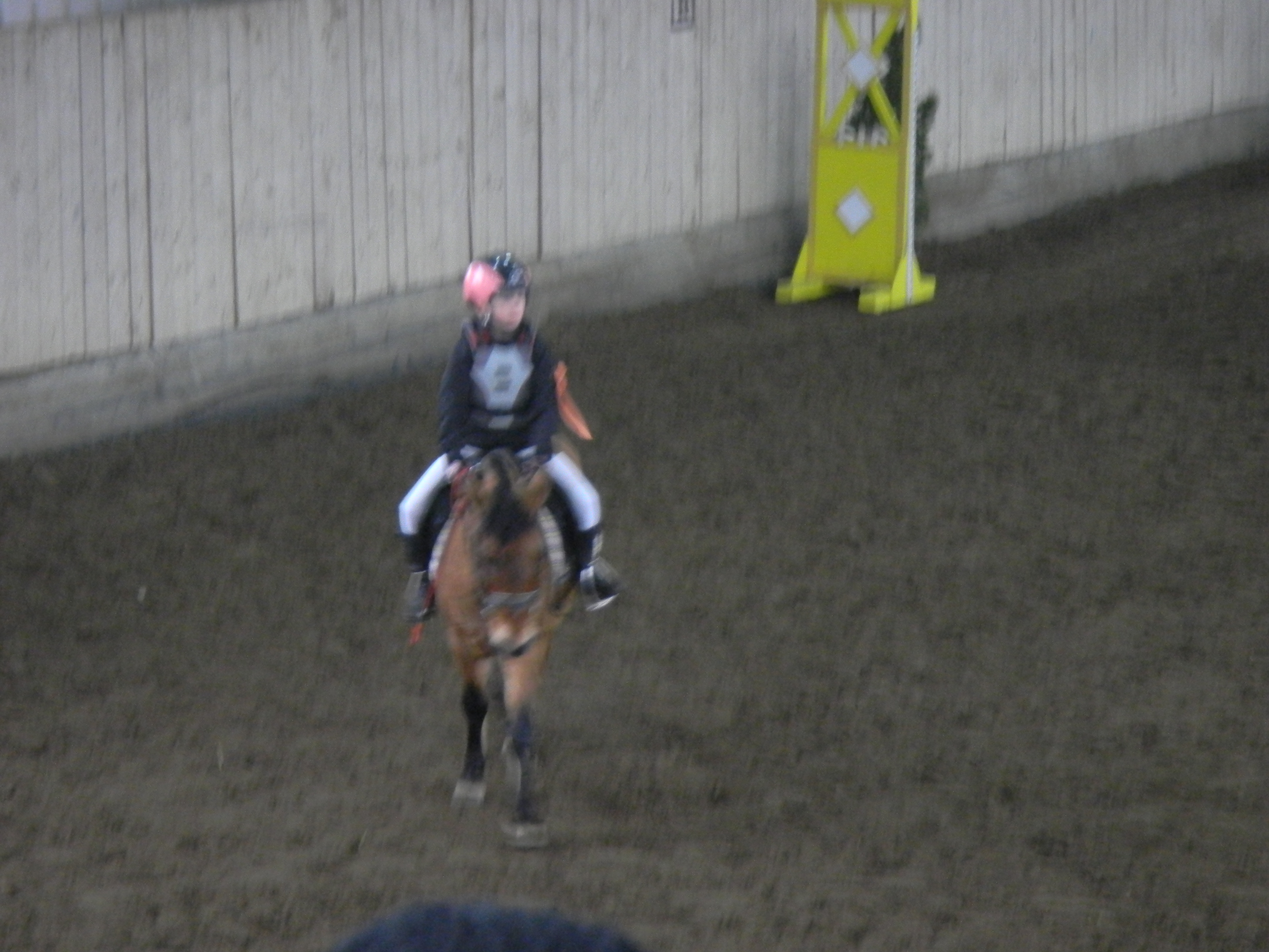 TJ Slovan Frenštát (Trojanovice pony) plus Luisianka 006