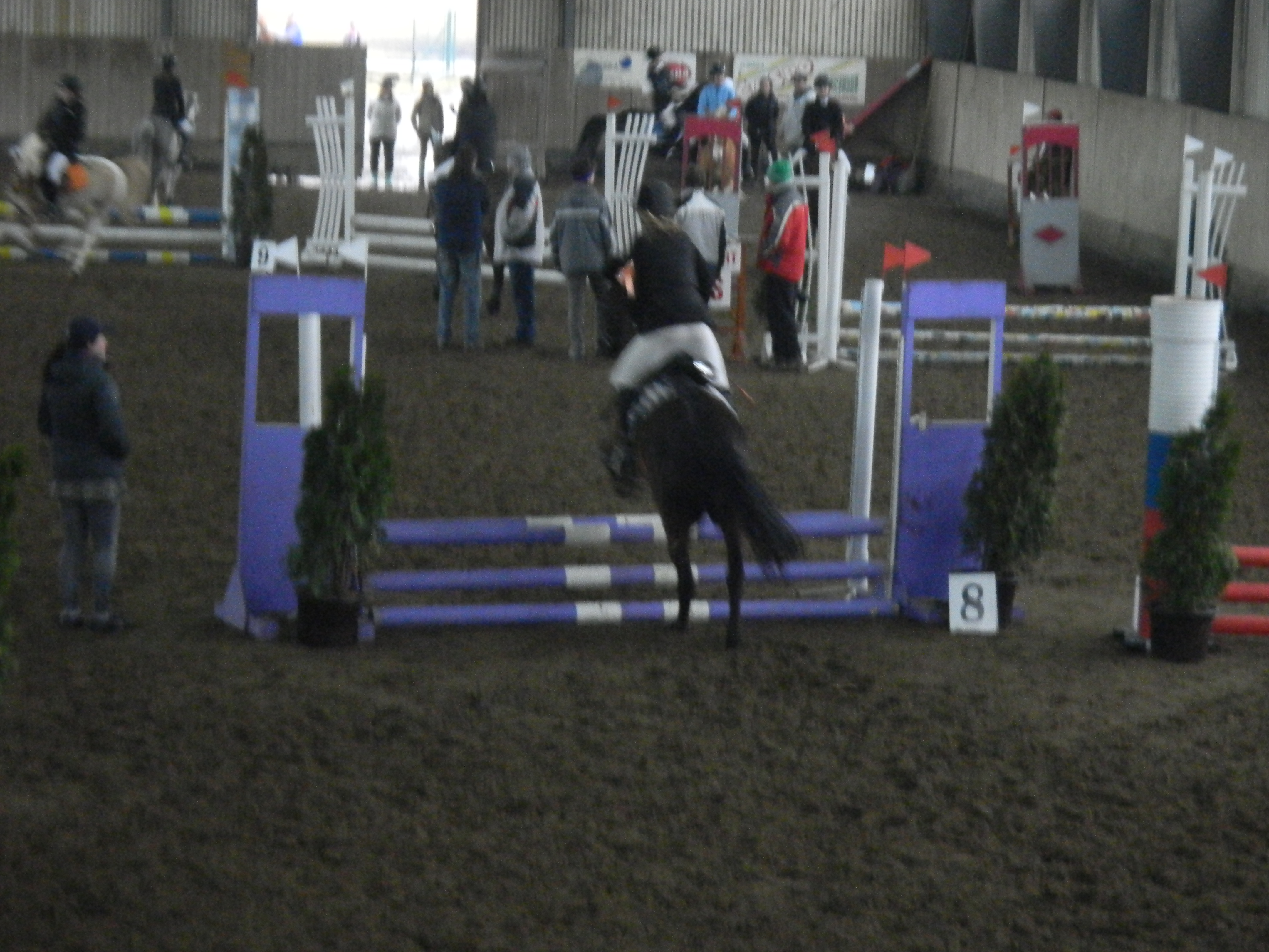 TJ Slovan Frenštát (Trojanovice pony) plus Luisianka 007